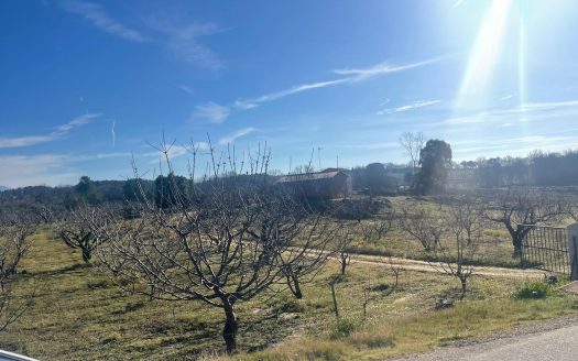 Finca de 3 ha de cerezos. Jaraíz de la Vera V108