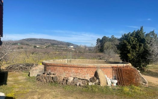 Finca de 3 ha de cerezos. Jaraíz de la Vera V108