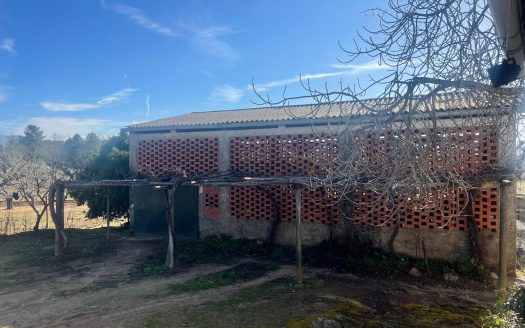 Finca de 3 ha de cerezos. Jaraíz de la Vera V108