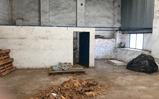 Finca de 1 ha. con naves de 650 m2. y 250 m2. Jaraíz de la Vera V123