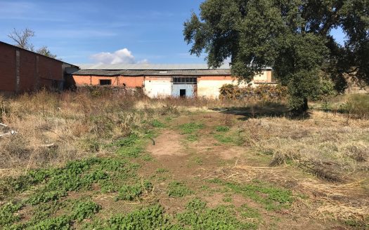 Finca de 1 ha. con naves de 650 m2. y 250 m2. Jaraíz de la Vera V123