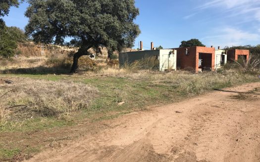Finca de 1 ha. con naves de 650 m2. y 250 m2. Jaraíz de la Vera V123