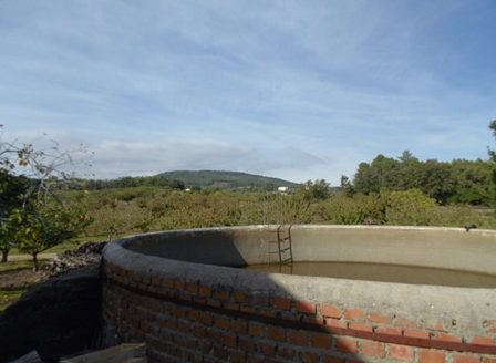 Finca de 3 ha de cerezos. Jaraíz de la Vera V108