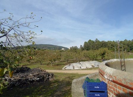 Finca de 3 ha de cerezos. Jaraíz de la Vera V108