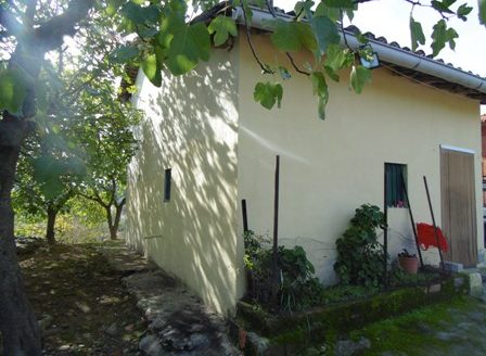 Finca de 3 ha de cerezos. Jaraíz de la Vera V108