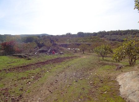 Finca de 3 ha de cerezos. Jaraíz de la Vera V108