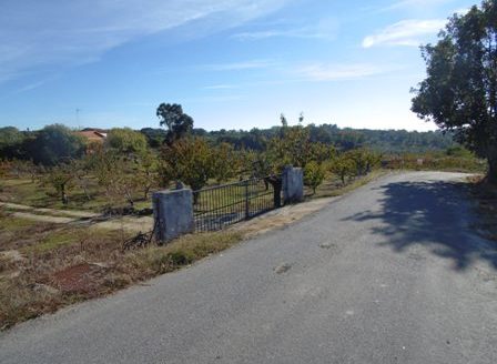 Finca de 3 ha de cerezos. Jaraíz de la Vera V108
