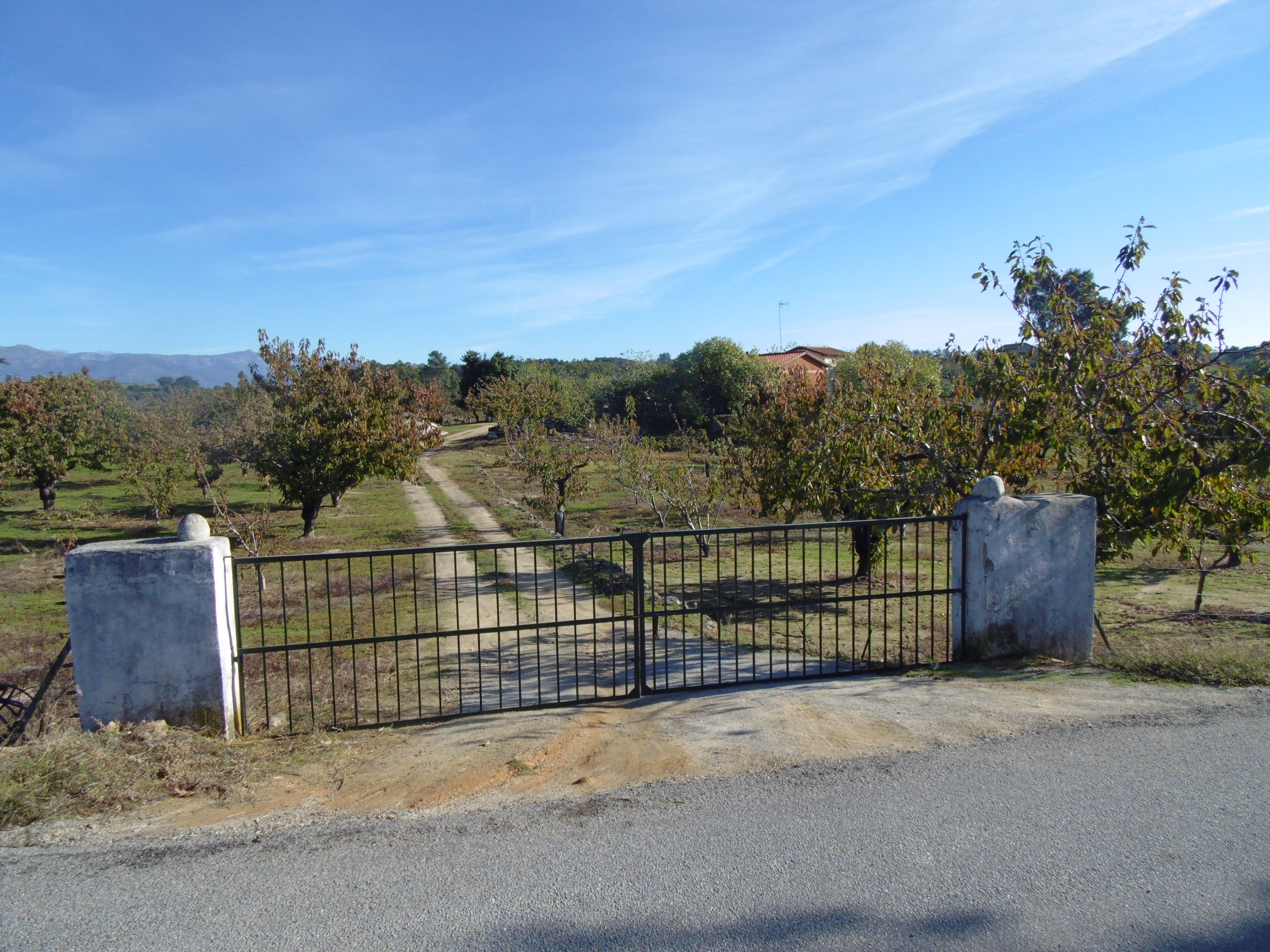 Finca de 3 ha de cerezos. Jaraíz de la Vera V108