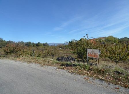 Finca de 3 ha de cerezos. Jaraíz de la Vera V108